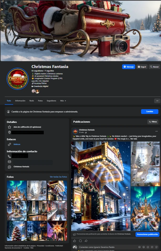 Presencia de Christmas Fantasia en Facebook